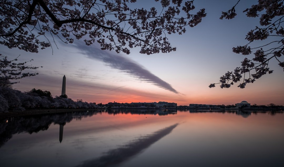 Photo Cherry Blossoms