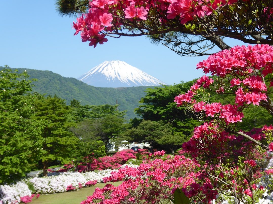 Photo Mount Fuji